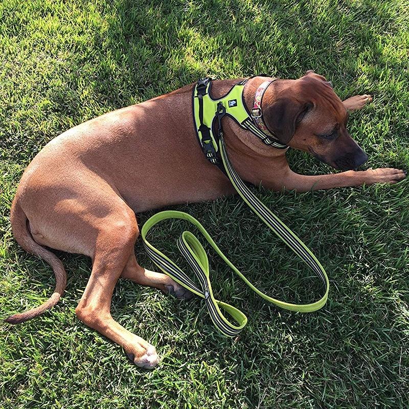 Truelove No-Pull Dog Harness Front Range Comfortable Reflective Soft Mesh Dog Harness Reflective highend Soft Mesh Service Pet Dog Harness for Walking Hiking and Training