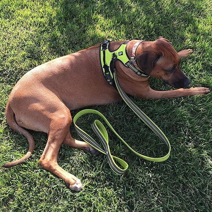 Truelove No-Pull Dog Harness Front Range Comfortable Reflective  Soft Mesh Dog Harness Reflective highend Soft Mesh Service Pet Dog Harness for Walking Hiking and Training