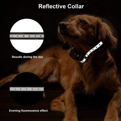 2021 Dog Training Collar, 2 Dog Shock Collar Remote Waterproof Rechargeable Dog Collar 3 Training Modes Harmless Shock Vibration Beep Medium Large Dogs, 800 FT Range [Reflective Strap] [<lun>]