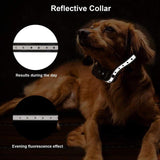 2021 Dog Training Collar, 2 Dog Shock Collar Remote Waterproof Rechargeable Dog Collar 3 Training Modes Harmless Shock Vibration Beep Medium Large Dogs, 800 FT Range [Reflective Strap] [&lt;lun&gt;]