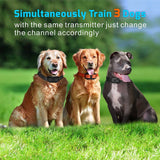 1000M IP6X 4 Modes Waterproof Pet Dog Training Collar Eectric Remote Control Shock Collar with LCD Display for 1~3 Dogs