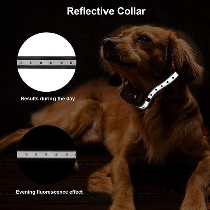Dog Training Collar with Remote, Waterproof Rechargeable Shock Collar with Beep/Vibration/Shock Fits Small, Medium and Large Dogs