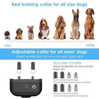 Shock Collar for Dogs, Dog Training Collar, Rechargeable Waterproof 2000ft Control Dog Shock Collar with Remote, Beep Vibration Shock for Small Medium Large Dogs