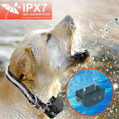 2021 Dog Training Collar, 2 Dog Shock Collar Remote Waterproof Rechargeable Dog Collar 3 Training Modes Harmless Shock Vibration Beep Medium Large Dogs, 800 FT Range [Reflective Strap] [<lun>]