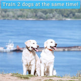 Dog Training Collar Remote Controller Waterproof Rechargeable 1000Yards LCD Trainer for Pet Electric Shock for 2 Dogs