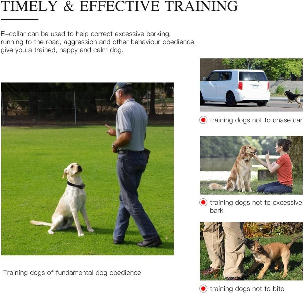 Dog Training Collar with Remote, Waterproof Rechargeable Shock Collar with Beep/Vibration/Shock Fits Small, Medium and Large Dogs