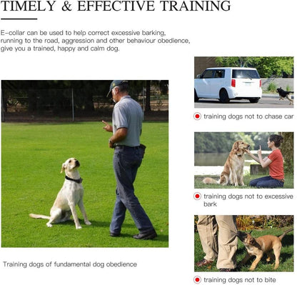Dog Training Collar with Remote, Waterproof Rechargeable Shock Collar with Beep/Vibration/Shock Fits Small, Medium and Large Dogs