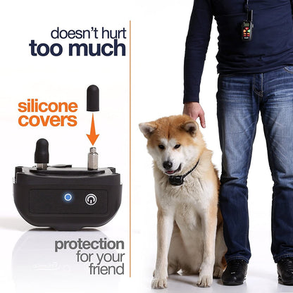 Dog Training Collar with Remote 800ft [Reflective Strap] Waterproof Rechargeable Beep/Vibration/Electric Shock Modes for Small Medium Large Dogs