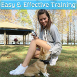 Dog Training Collar Remote Controller Waterproof Rechargeable 1000Yards LCD Trainer for Pet Electric Shock for 2 Dogs