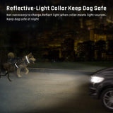 Dog Training Collar, (1 Or 2 Pack) 2019 Updated 3 Channels Shock Collar for Dogs with 2600ft Remote, Beep Vibration Shock 3 Modes Fully Waterproof Dog Shock Collar for Small/Medium/Large Dogs