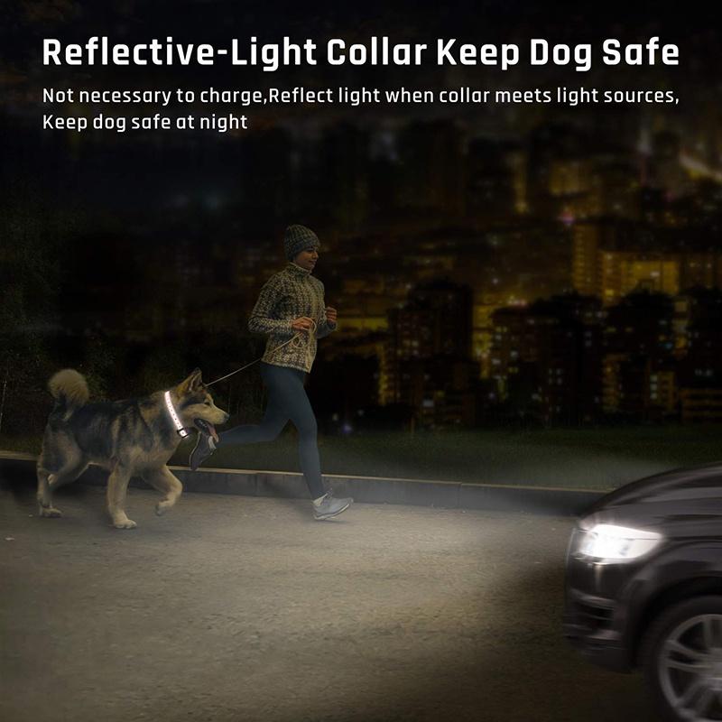 2021 Dog Training Collar, 2 Dog Shock Collar Remote Waterproof Rechargeable Dog Collar 3 Training Modes Harmless Shock Vibration Beep Medium Large Dogs, 800 FT Range [Reflective Strap] [<lun>]