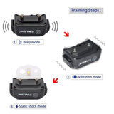 Remote Dog Training Shock Collar Electronic Rechargeable Waterproof 300m Remote Control For Two Dogs Training Collar (For 1-2 dogs)