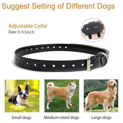Dog Training Collar with Remote Control 1000 feet - Rechargeable and Upgraded IP67 Waterproof Electric Collar for Large Medium Small Dogs