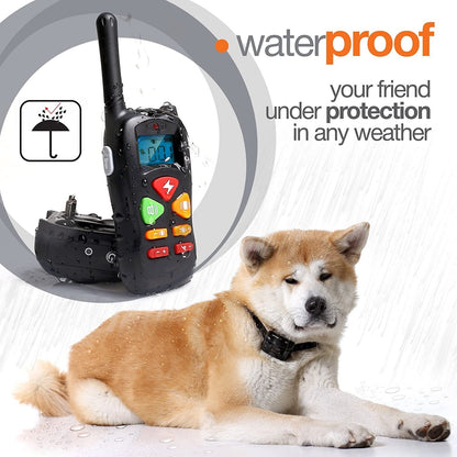Dog Training Collar, 2 Dog Shock Collar Remote Waterproof Rechargeable Dog Collar 3 Training Modes Harmless Shock Vibration Beep Medium Large Dogs, 800 FT Range [Reflective Strap]
