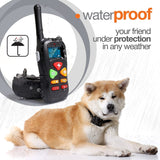 Dog Training Collar, 2 Dog Shock Collar Remote Waterproof Rechargeable Dog Collar 3 Training Modes Harmless Shock Vibration Beep Medium Large Dogs, 800 FT Range [Reflective Strap]