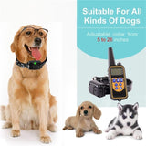 1000M IP6X 4 Modes Waterproof Pet Dog Training Collar Eectric Remote Control Shock Collar with LCD Display for 1~3 Dogs