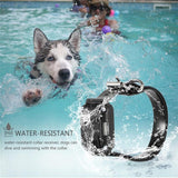 Dog Training Collar with Remote Control 1000 feet - Rechargeable and Upgraded IP67 Waterproof Electric Collar for Large Medium Small Dogs