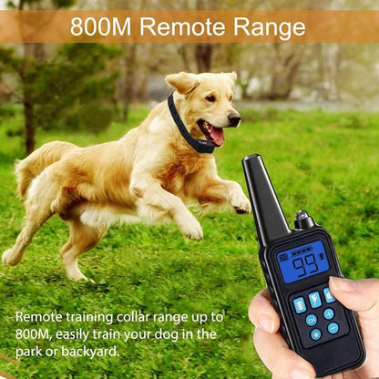 Dog Training Collar with Remote Control 1000 feet - Rechargeable and Upgraded IP67 Waterproof Electric Collar for Large Medium Small Dogs