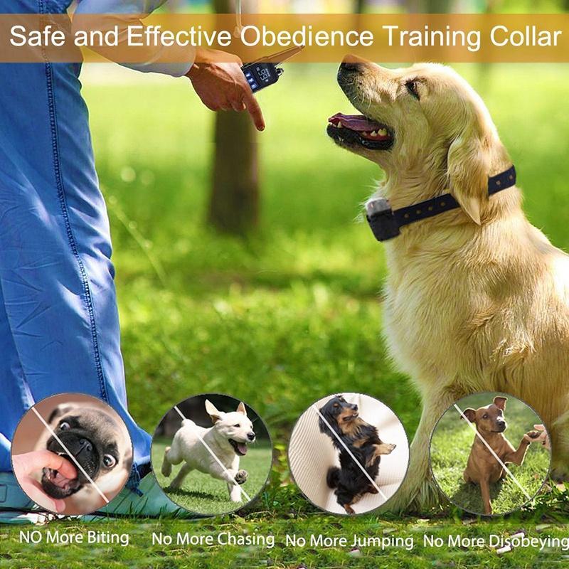 Dog Training Collar with Remote Control 1000 feet - Rechargeable and Upgraded IP67 Waterproof Electric Collar for Large Medium Small Dogs