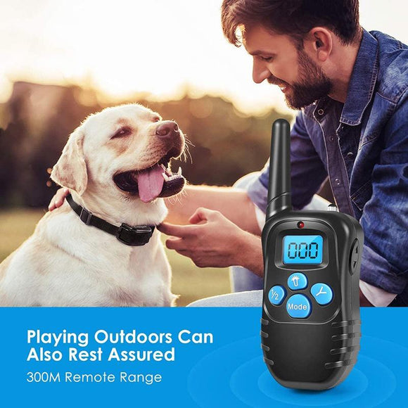 2020 Remote Dog Training Shock Collar Electronic Rechargeable Waterproof 300m Remote Control For Two Dogs Training Collar