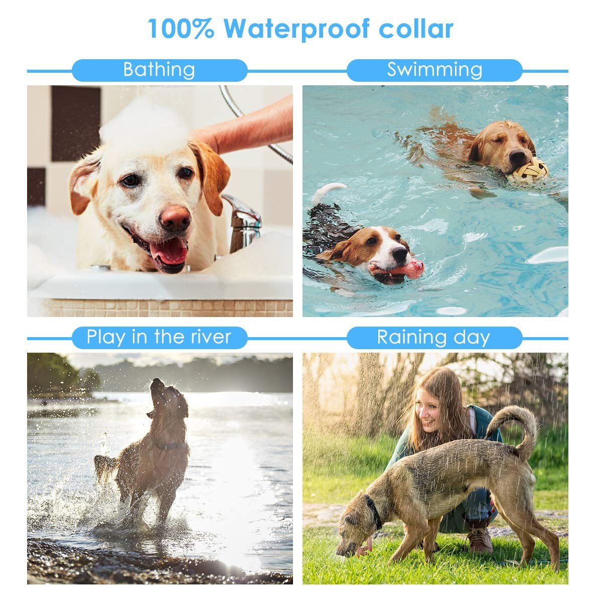 2021 Dog Training Collar, 2 Dog Shock Collar Remote Waterproof Rechargeable Dog Collar 3 Training Modes Harmless Shock Vibration Beep Medium Large Dogs, 800 FT Range [Reflective Strap] [<lun>]