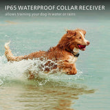 Dog Training Collar with Remote Control 1000 feet - Rechargeable and Upgraded IP67 Waterproof Electric Collar for Large Medium Small Dogs