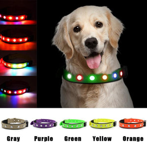 2021 LED Dog Collar Swimming Harness USB Magnetic Rechargeable 10 hours Flashing Strong waterproof DIY Adjustment Pet Night Safety Visible Collar