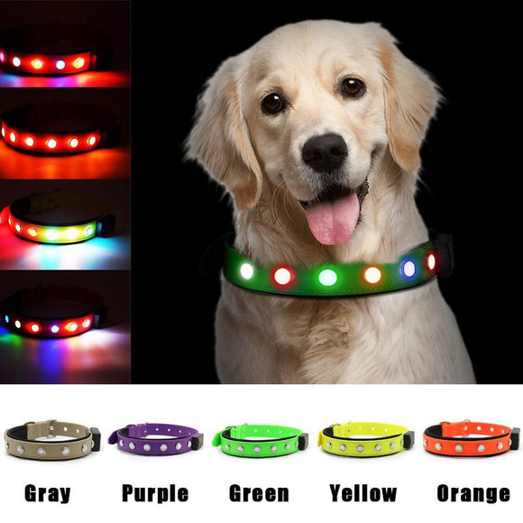 2021 LED Dog Collar Swimming Harness USB Magnetic Rechargeable 10 hours Flashing Strong waterproof DIY Adjustment Pet Night Safety Visible Collar