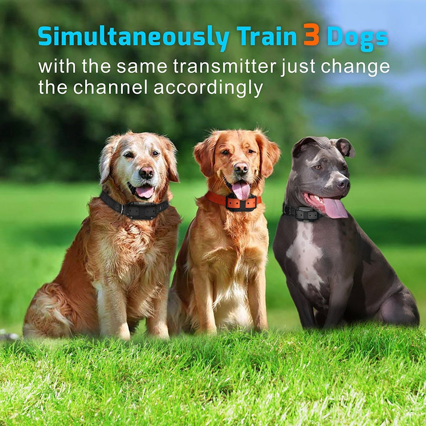 Waterproof Electric 800m Remote Pet Trainer Shock Training Collar for 1 or 2 Dog
