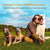 Dog Training Collar with Remote Control 1000 feet - Rechargeable and Upgraded IP67 Waterproof Electric Collar for Large Medium Small Dogs