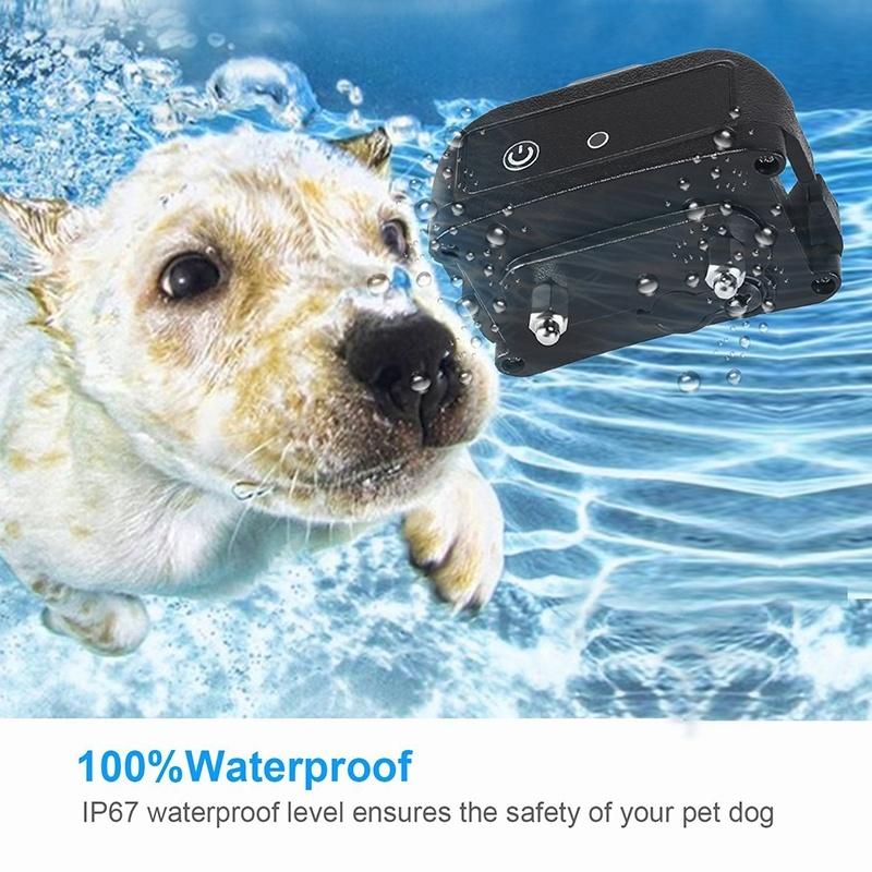 Remote Dog Training Shock Collar Electronic Rechargeable Waterproof 300m Remote Control For Two Dogs Training Collar (For 1-2 dogs)
