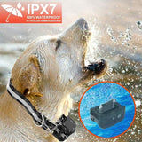 Dog Training Collar with Remote, Waterproof Rechargeable Shock Collar with Beep/Vibration/Shock Fits Small, Medium and Large Dogs